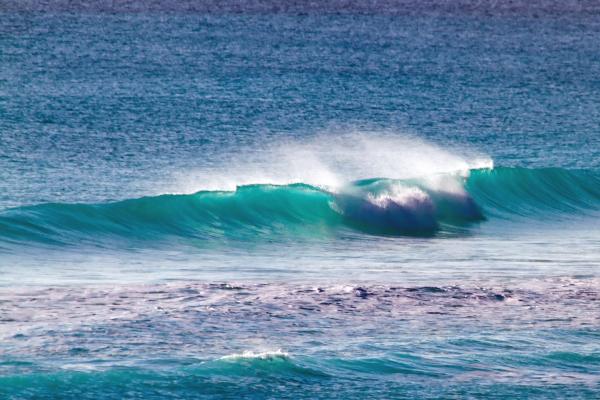 Wave