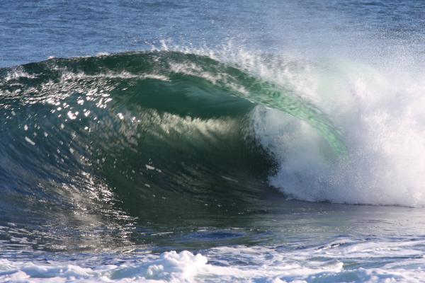 Wave