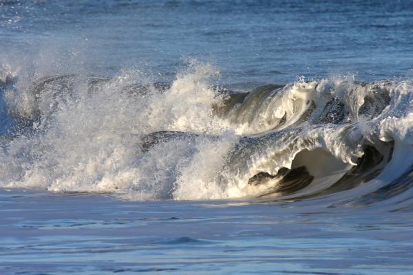 Wave