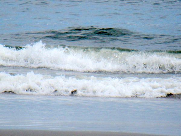 Waves Crashing On Beach