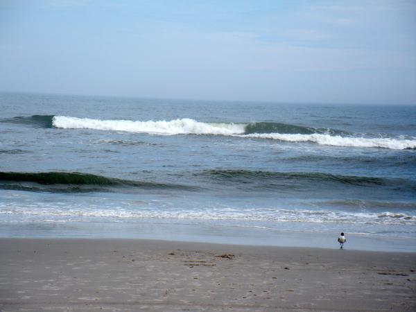 Waves Crashing On Beach