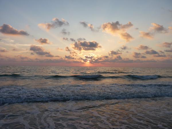Waves in the Sea