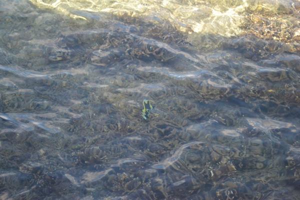 Waves On The Water