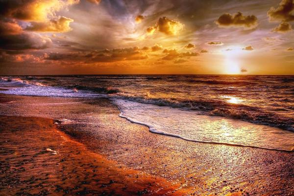 Wavy Ocean