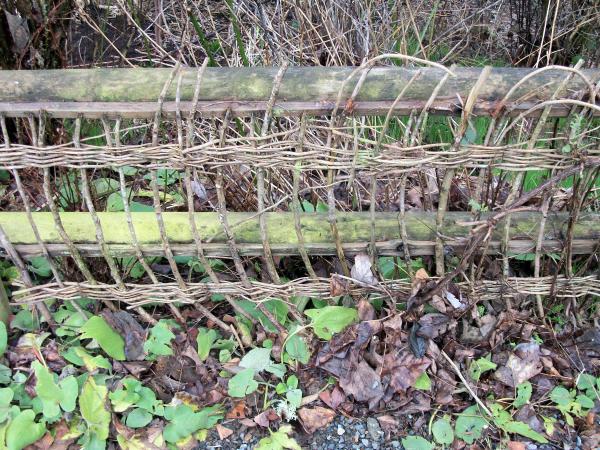Weaved branch fence