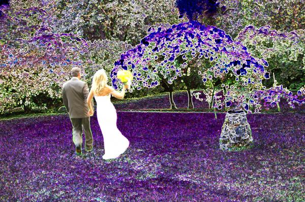 Wedding Couple Just Married Abstract