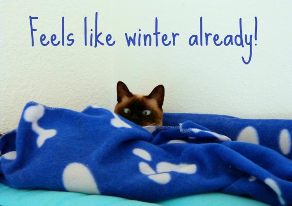 Well, someone was cold.