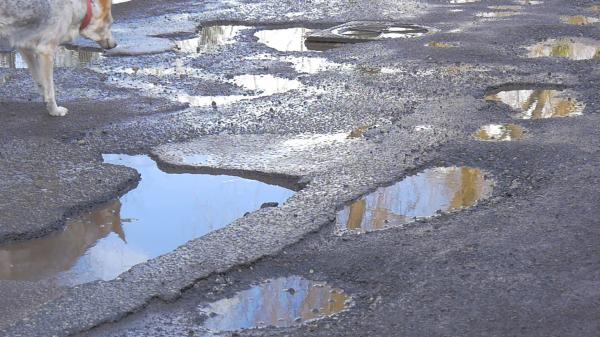 Wet asphalt road