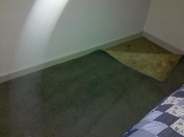 Wet carpet underlay