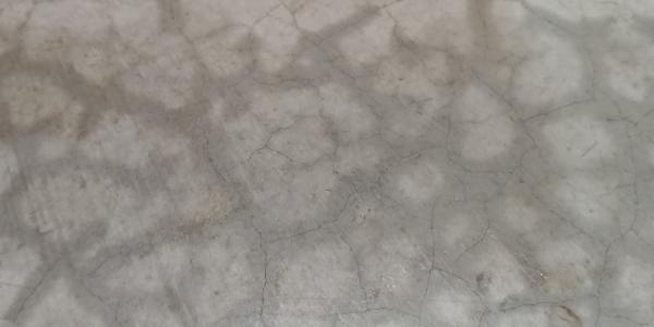 wet concrete