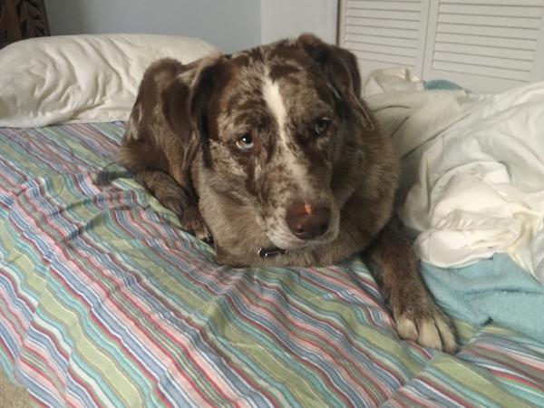 What Do You Mean "Your" Bed?