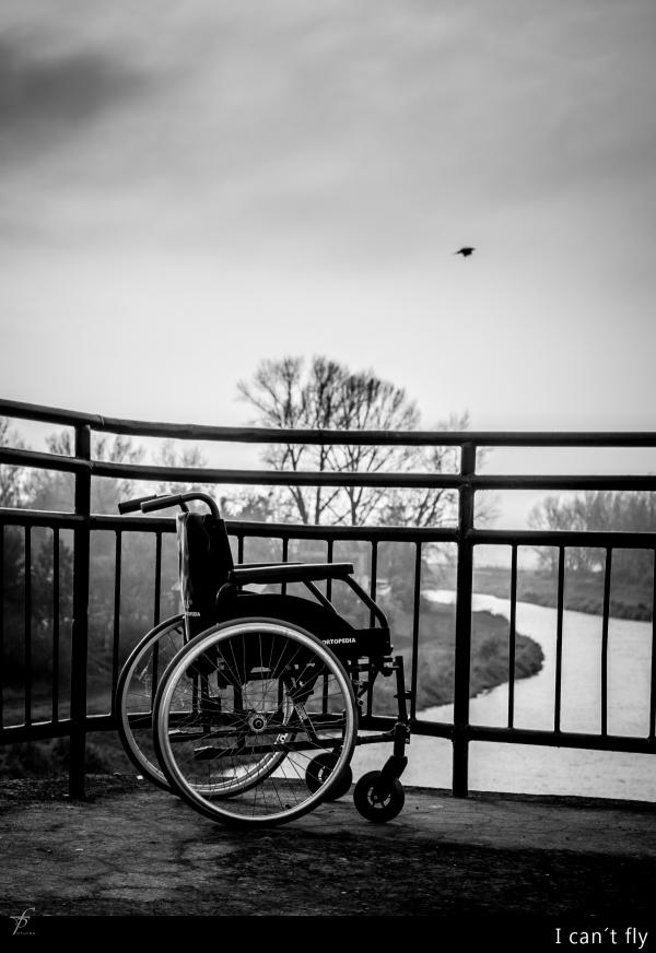 Wheelchair