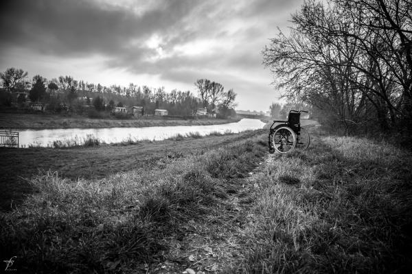 Wheelchair in the woods