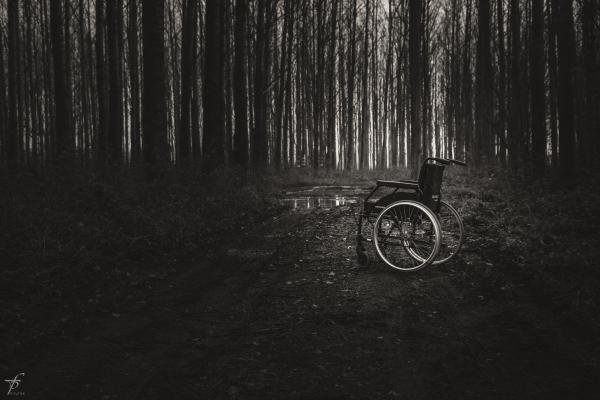 Wheelchair in the woods