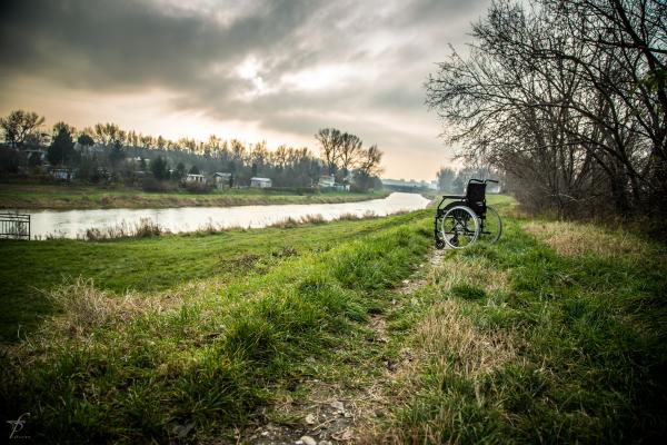Wheelchair in the woods