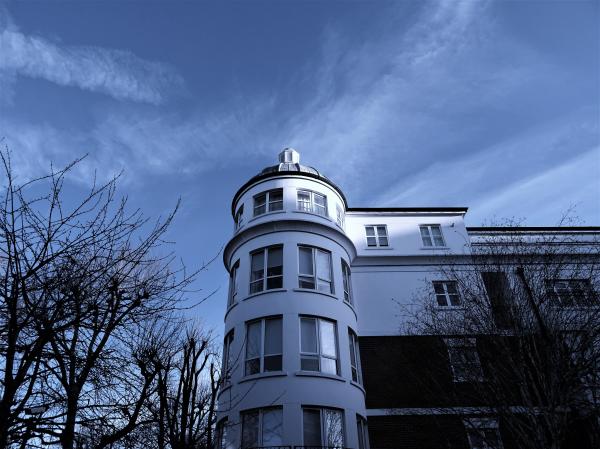 White 4-storey Mansion Surrounded by Bald Trees