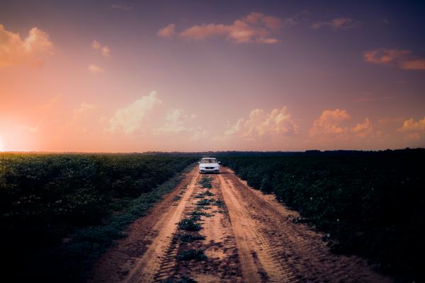 White Car on Dirt Road in the Middle of Grass Field