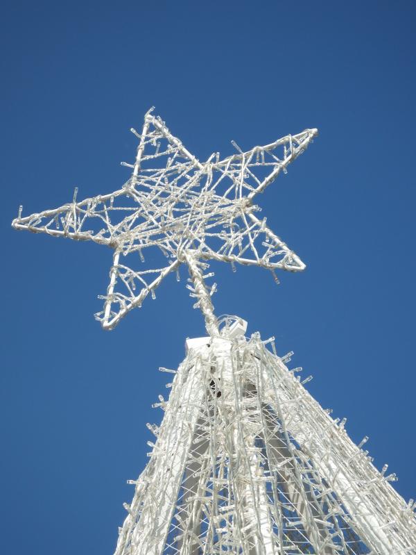 White Christmas Tree Star
