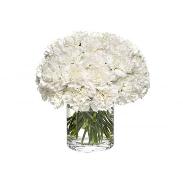 White Flower