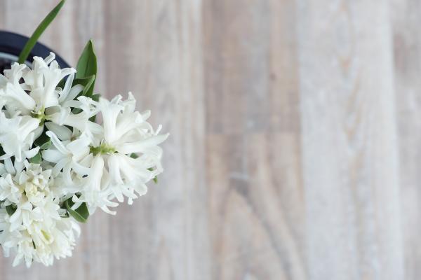 White Flowers