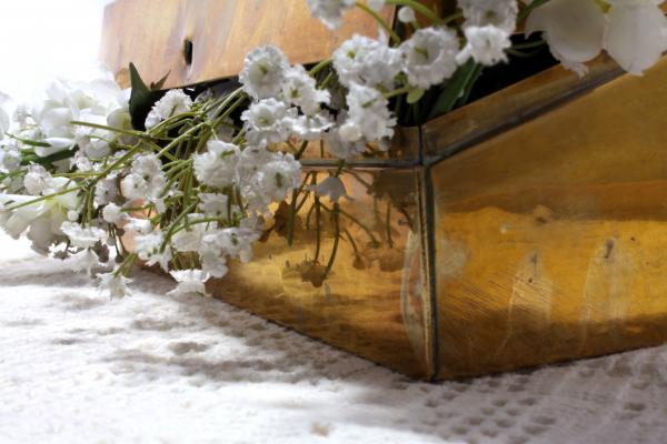White flowers in a box