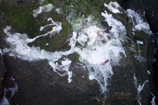White goo on rock