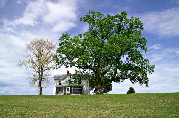White House on a Hill at Springtime