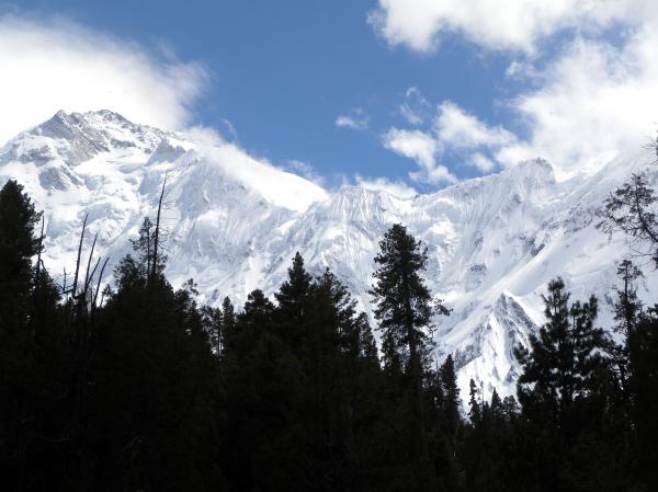 White mountains