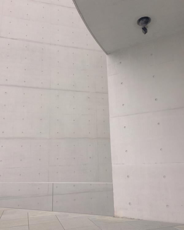 White Painted Wall