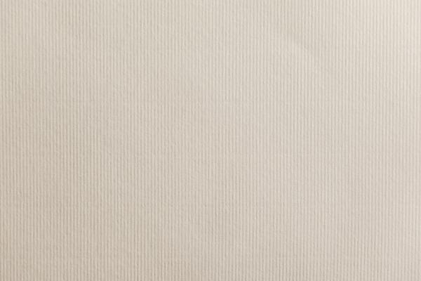 White Paper Texture
