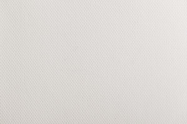White Paper Texture