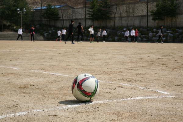White Red and Green Ball Near Group of People Playing Soccer