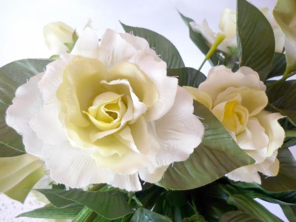 White Rose