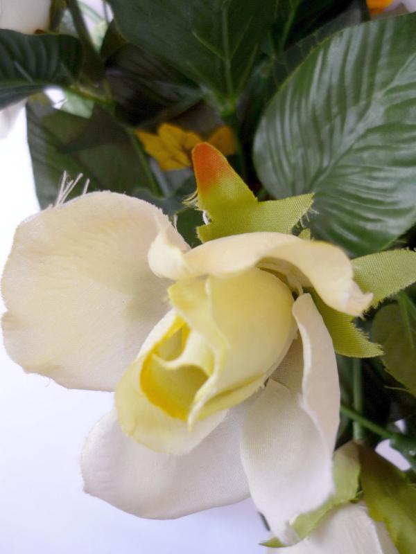 White Rose