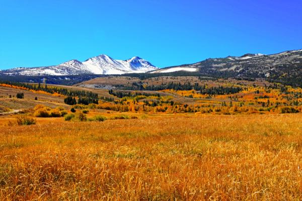 White Snow Mountain Near Grass Field