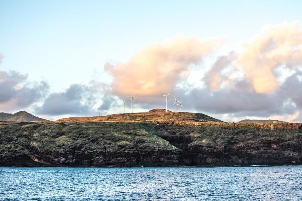 White Windmill Photography