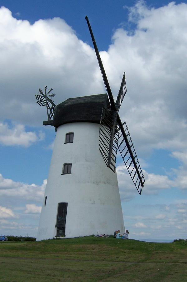 White Windmills