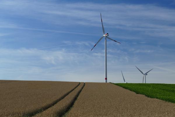 White Windmills