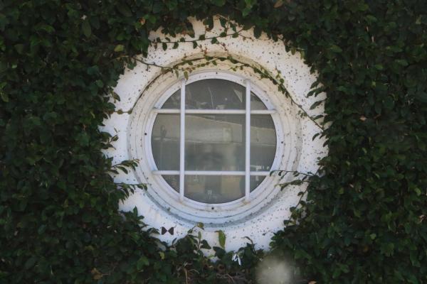 Whole boat window