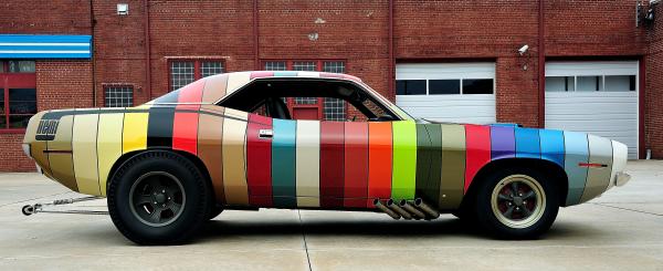 Wild Car