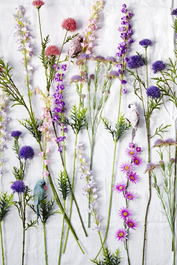 Wildflowers