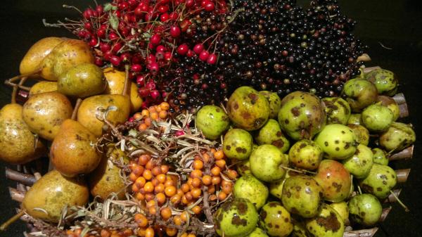 Wild fruit