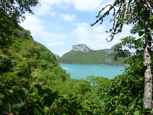 Wild Island
