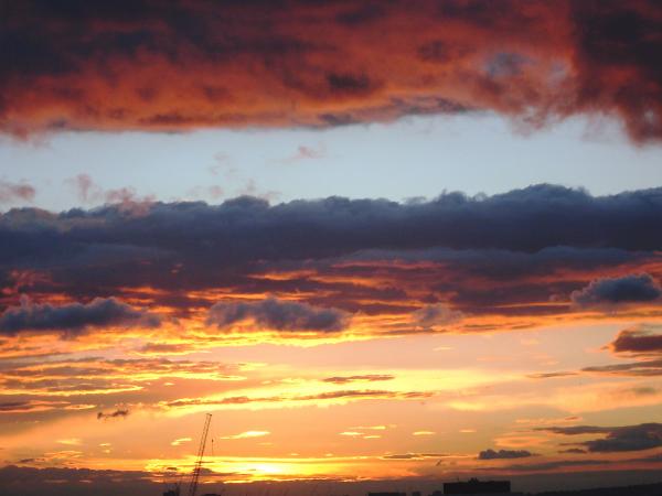 Wild Morning Sky