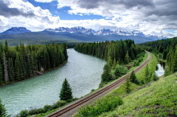 Wild Nature