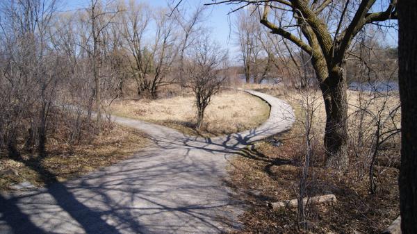 Wild Park