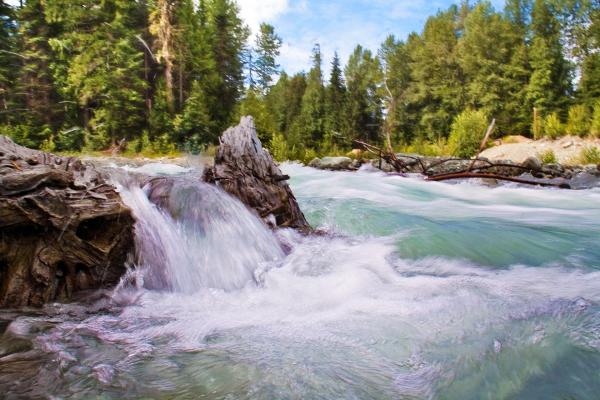 Wild Waterfall