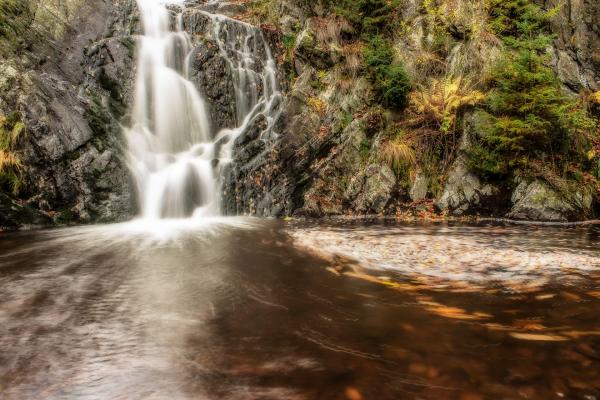 Wild Waterfall