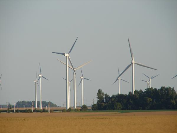 Wind Farm