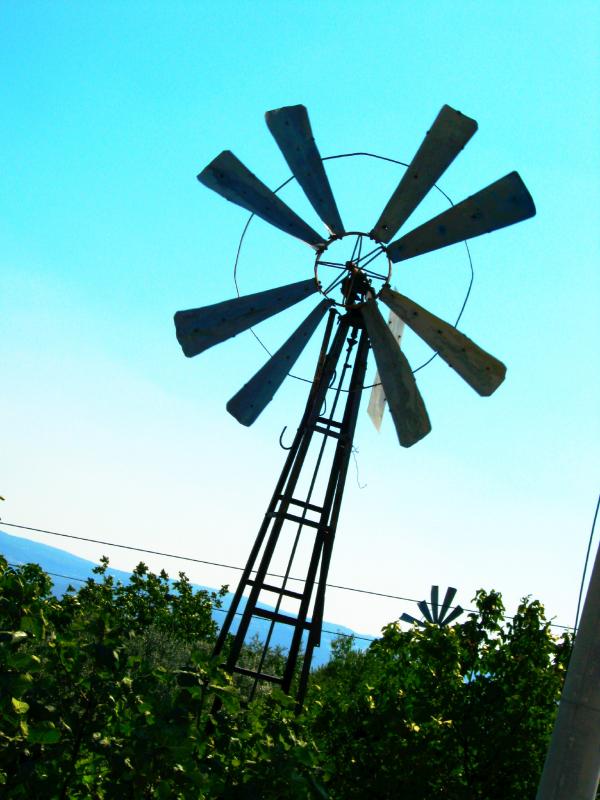 Wind Mill